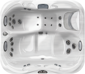 Jacuzzi Hot Tub J-315