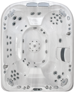 Jacuzzi Hot Tub J-495