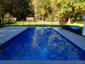 Swimming Pool Next To The Forest